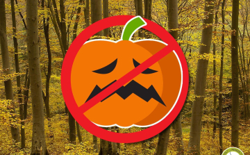 A halloweeni tök nem való a természetbe! 